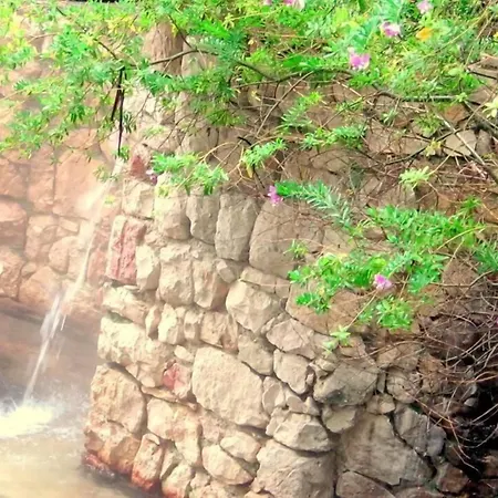 Terme Acqua Pia 호텔 3*