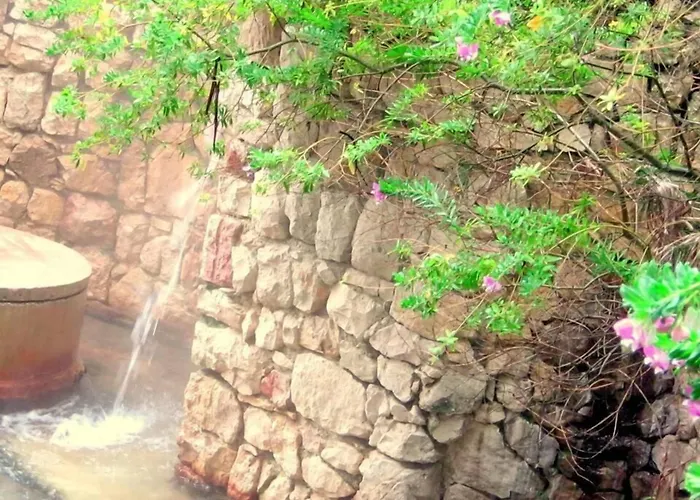 Terme Acqua Pia 호텔 3*